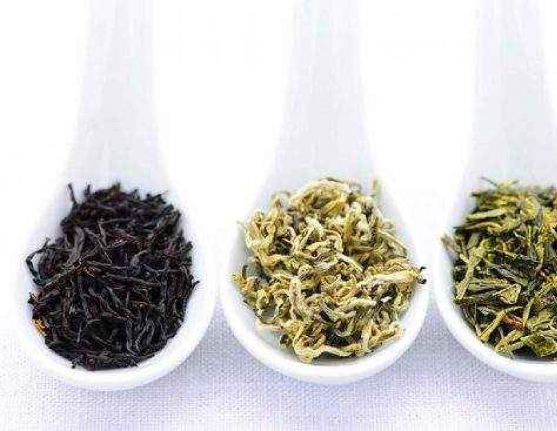  Какой чай лучше – черный или зеленый
