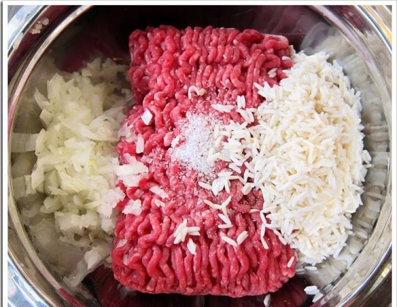   Мясные ежики с рисом – второе на скорую руку. Лучшие рецепты мясных ежиков с рисом на сковороде, в духовке, в мультиварке