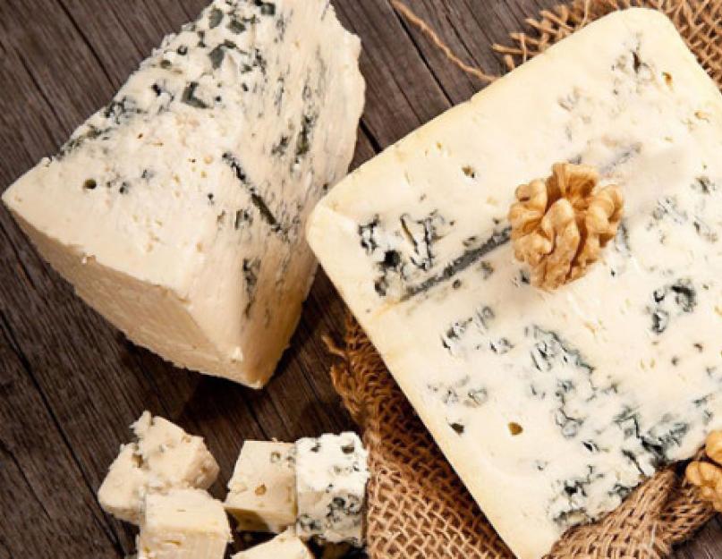 Готовим сыр с плесенью! Как делают сыр с плесенью: ингредиенты и рецепты. Сыр с плесенью: польза и вред