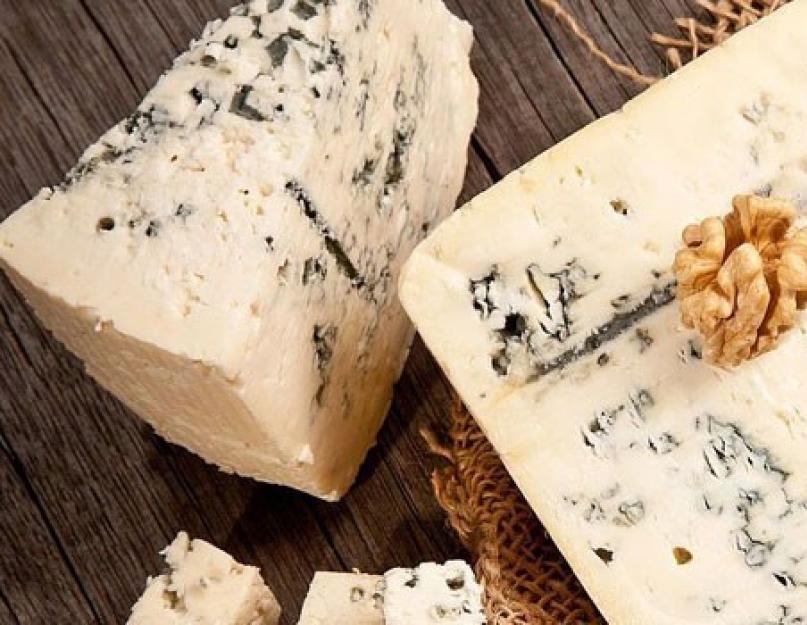 Голубая плесень. Чем полезен сыр с плесенью и можно ли его есть. Чем полезен для взрослых мужчин и женщин