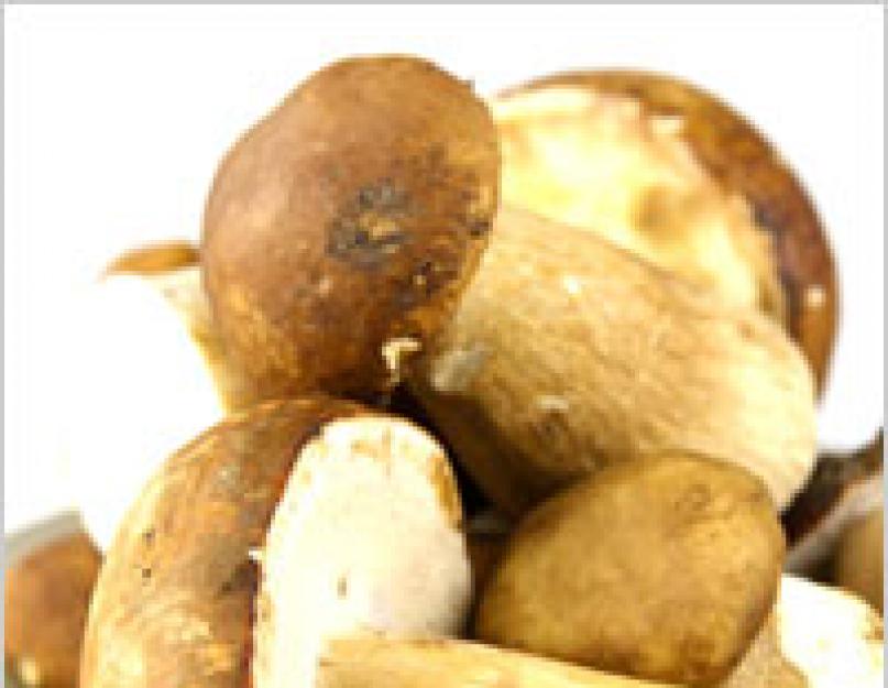 Что можно сготовить из белых грибов. Что делать с белыми грибами, собранными в лесу или купленными в магазине: советы и рецепты