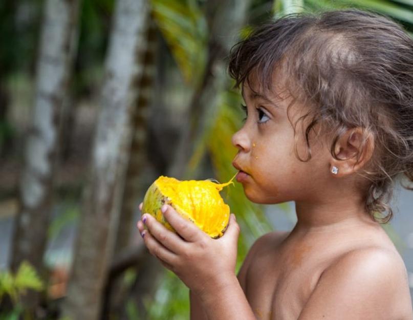 Манго что в нем полезно. Чем полезен манго для организма человека? Как растет и выглядит манго