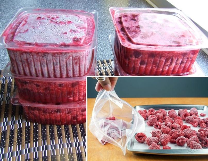 Заготовка малины на зиму в морозилке. Как сохранить витамины и заморозить малину на зиму в холодильнике: подготовка ягод и правила их хранения