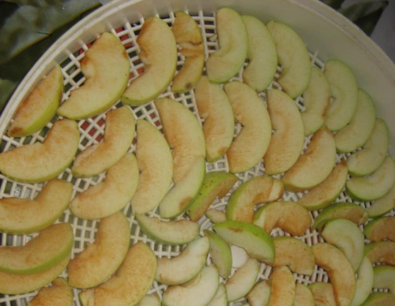 Как сушить яблоки на зиму и не испортить сухофрукты при хранении. Как сушить яблоки в электросушилке – при какой температуре и сколько сушить яблоки