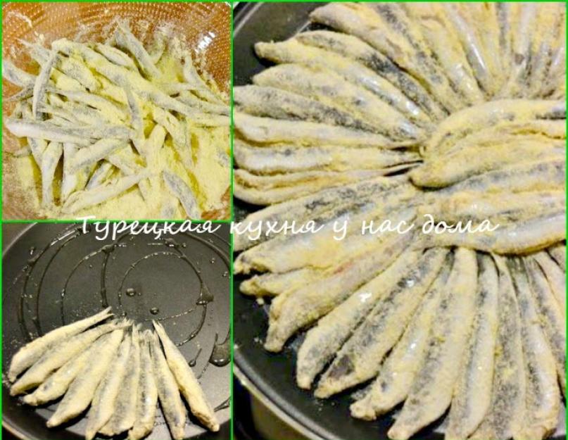 Que peut-on cuisiner avec des anchois frais surgelés ?  Anchois frits (Hamsi tava).  Hamsa cuite au four