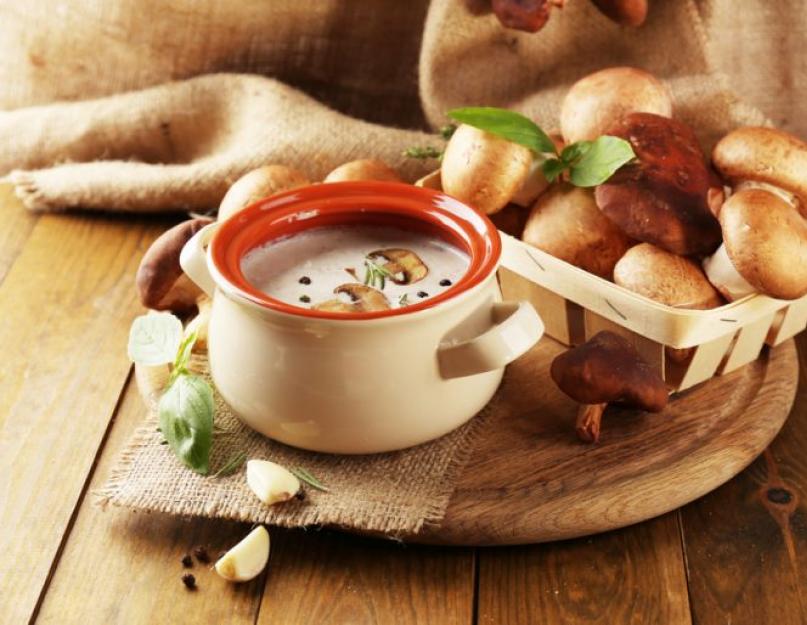Как называется грибной бульон в пачке. Грибной суп: полезные и вредные свойства блюда. Полезные свойства грибного супа