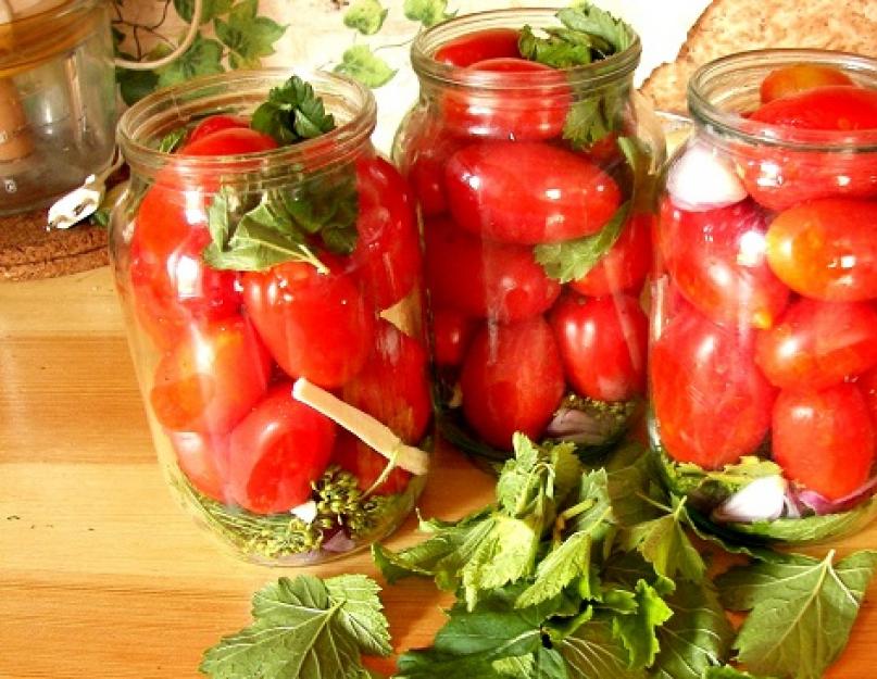 Соленые помидоры быстрого приготовления с чесноком. Помидоры фаршированные чесноком и зеленью быстрого приготовления. Как приготовить «Быстрые маринованные помидоры»