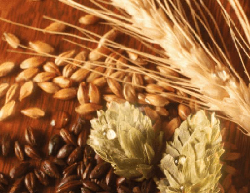 Градус браги из пшеницы. Брага из пшеницы для самогона, изготавливаемого в домашних условиях. Впечатления от рецепта