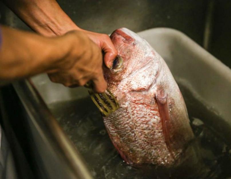 Comment éliminer le mucus du poisson.  Comment nettoyer correctement le poisson-chat du mucus.  Sterlet frais : comment couper et vider