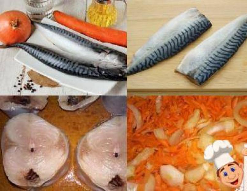 Как приготовить скумбрию с морковью. Скумбрия, тушеная с морковью и луком