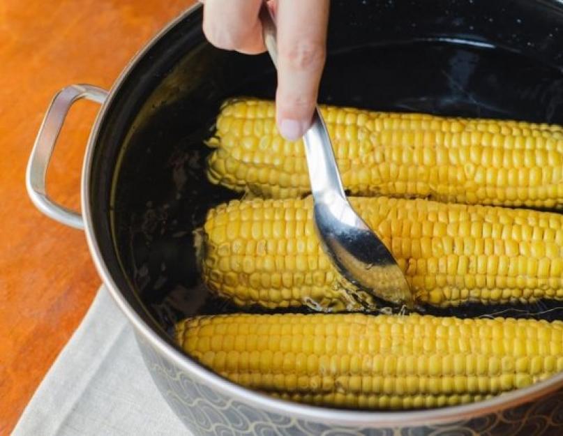 Какую кукурузу варят для еды. Учимся готовить кукурузу в кастрюле: фото и пошаговые рецепты, как сварить ее в початках с солью