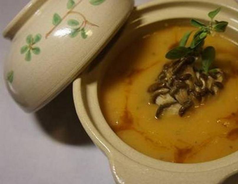 Сливочный суп пюре с вешенками. Рецепт супа-пюре и крем-супа из вешенок со сливками