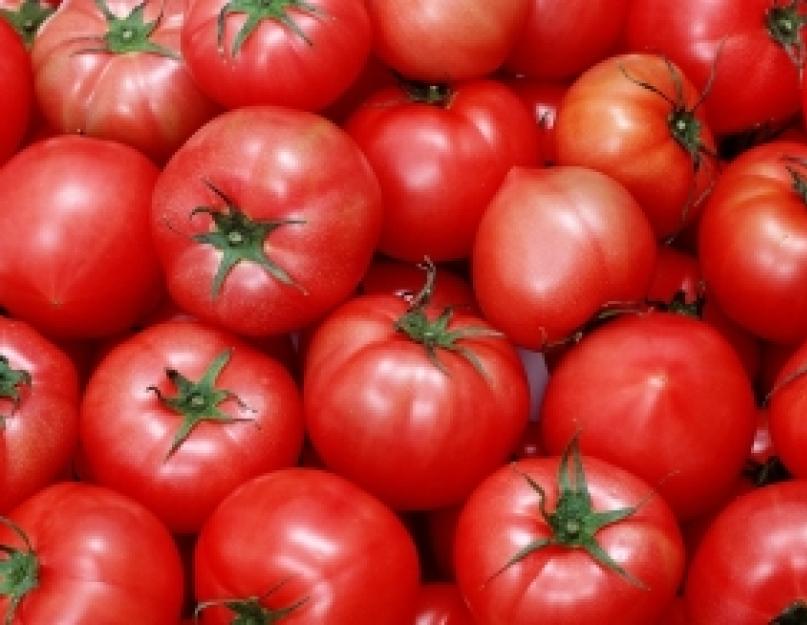 Рецепт засолки помидор холодным способом на зиму. Как солить помидоры простым холодным способом в ведре, бочке, кастрюле, банках? Рецепты зеленых, красных соленых помидоров на зиму