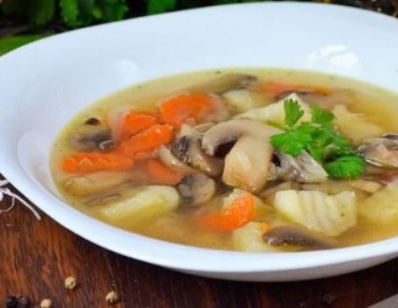 Рецепты грибного супа с различными грибами и ингредиентами. Как правильно приготовить грибной суп