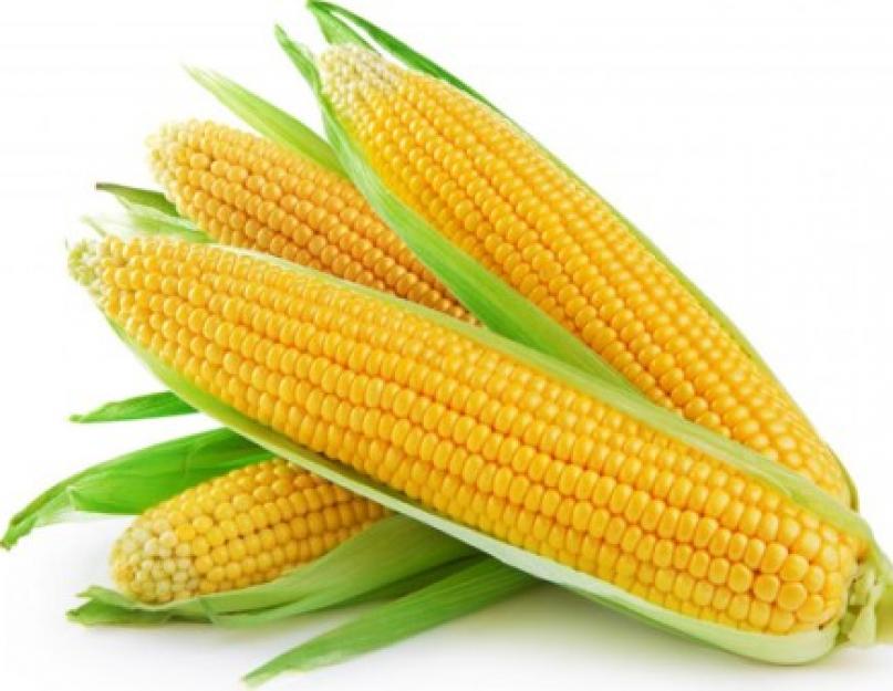 Как готовить попкорн из кукурузы. Особенности приготовления вкусных лакомств своими руками: как сделать попкорн из кукурузы в домашних условиях? Этот домашний попкорн очень понравится вашим детям