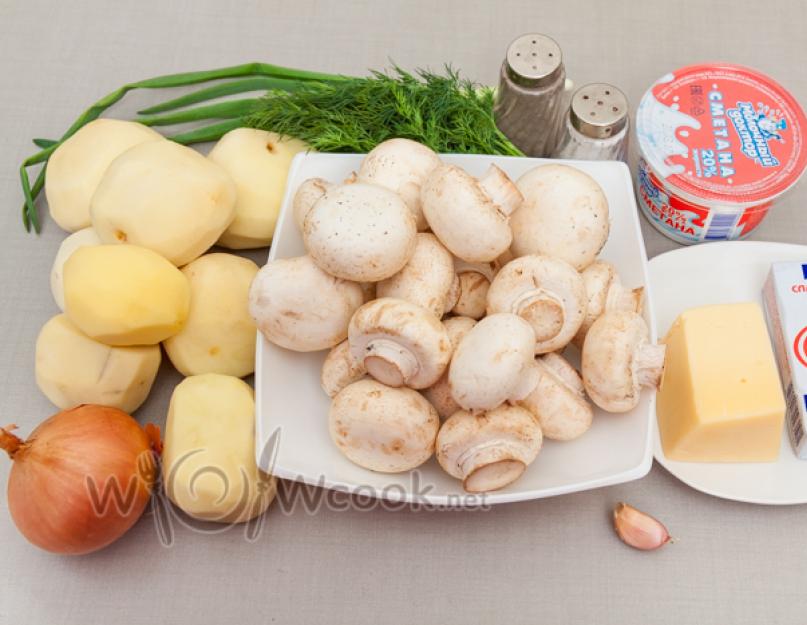 Вкусная картофельная запеканка с грибами – рецепты приготовления в духовке. Картофельная запеканка с грибами в духовке