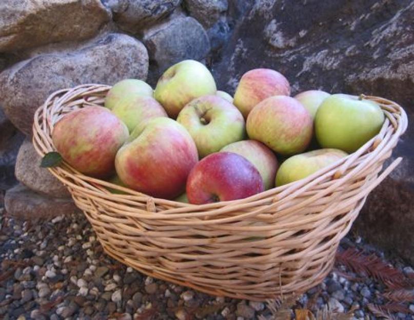 Как заготовить пюре для грудничка на зиму: яблочное, тыквенное, кабачковое и другие рецепты детского питания. Яблочное пюре на зиму в домашних условиях