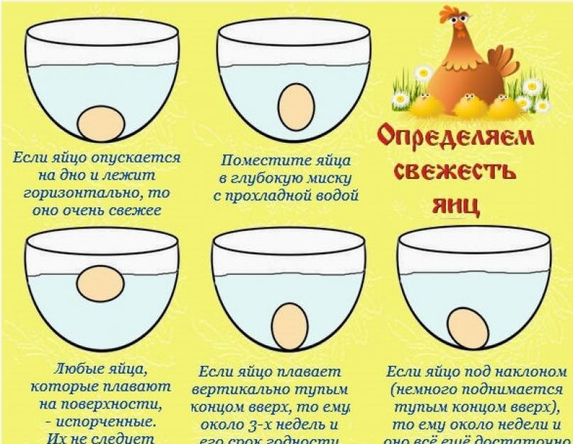 Как проверить испорченное яйцо или нет. Несут ли коричневые курицы коричневые яйца