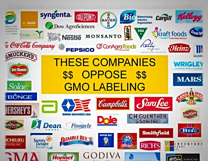 Чем опасны генномодифицированные продукты. «В конце-концов вред ГМО доказан множеством исследований». Каковы последствия тандема ГМО и пестицидов