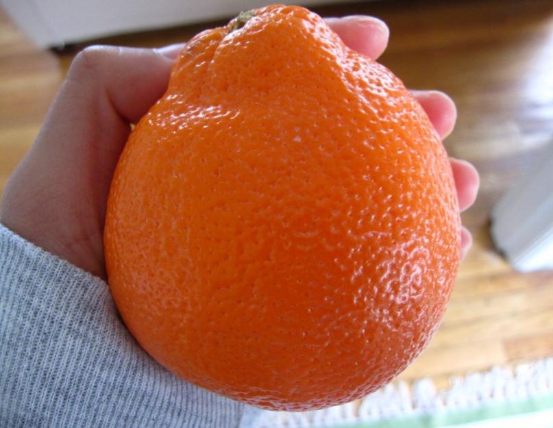 Фрукты-гибриды. Как называется цитрусовый гибрид лимона и апельсина