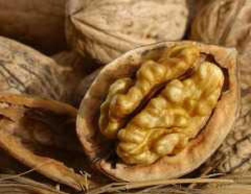  Перегородки грецких орехов: защита от йододефицита и не только
