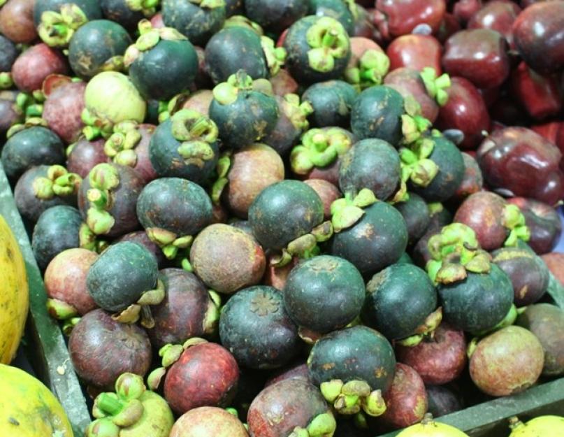 Необычный экзотический фрукт мангостин. Мангостин фрукт: состав, полезные свойства