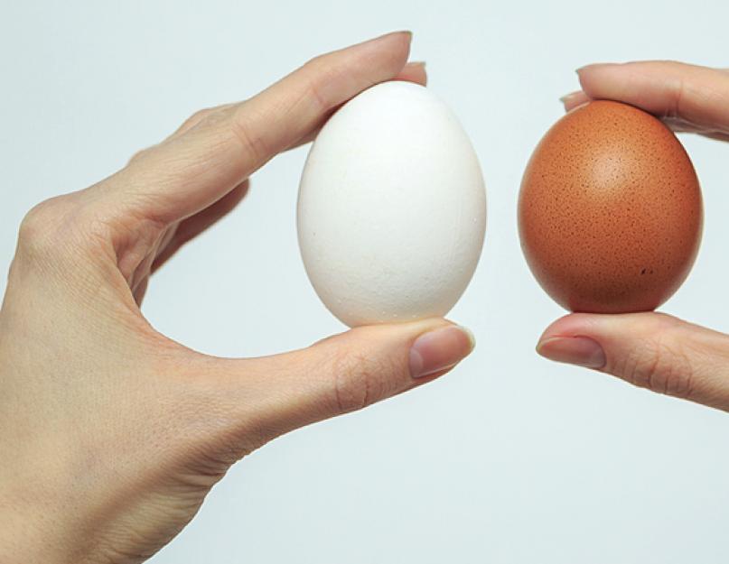 Какие куриные яйца лучше: с белой или коричневой скорлупой. Пасхальные яйца. Красим домашними средствами