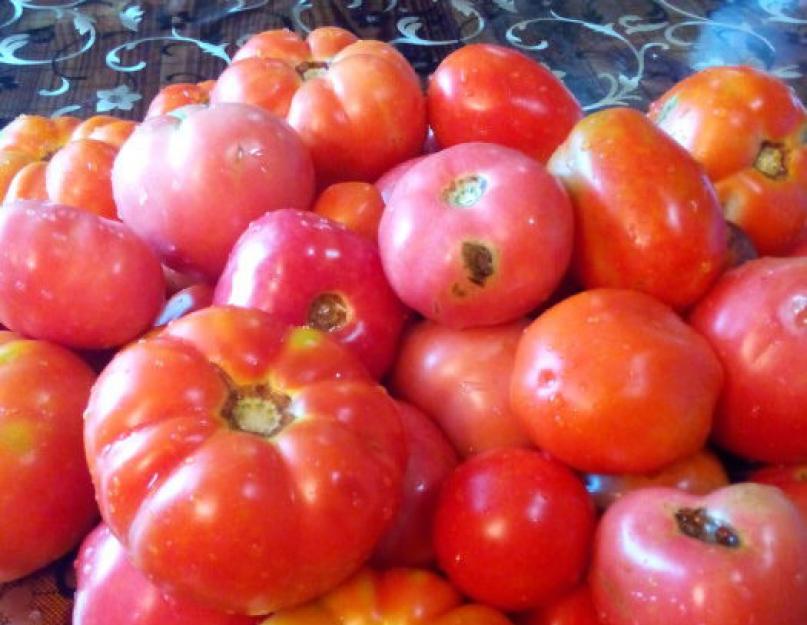 Как можно приготовить помидоры на зиму. Как заготовить томаты на зиму, изучаем способы
