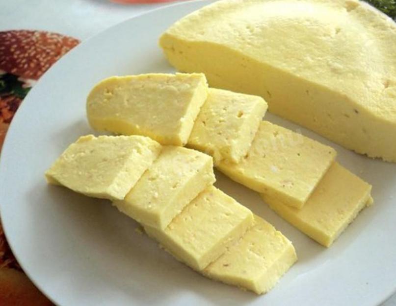 Полезные свойства козьего сыра для человека. Сыр козий
