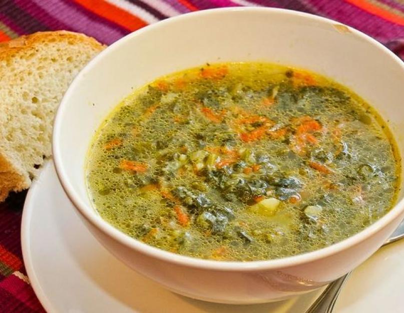 Крапивный суп рецепт. Как правильно приготовить суп из крапивы