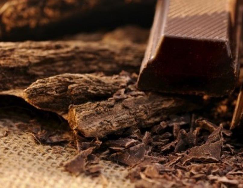 Польза и возможный вред горького шоколада. Горький шоколад - состав, калорийность, полезные свойства и вред для мужчин, женщин и при похудении
