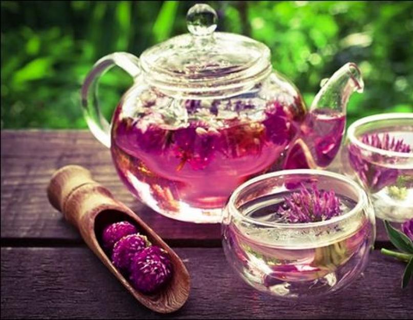 Свойства чая из красного клевера и рецепты заваривания. Целебные свойства лопуха, кипрея (иван чая) и клевера