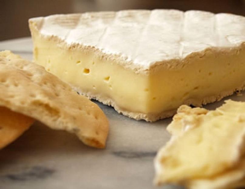 Сыр бри с белой плесенью - рецепты блюд с фото. Как и с чем едят бри - секреты гурманов