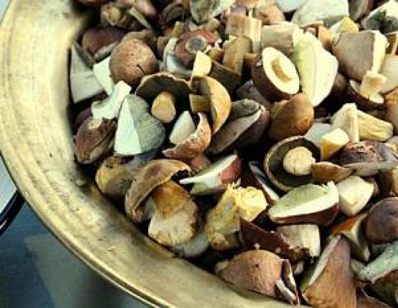Солёные грибы — шесть рецептов быстрой засолки грибов. Как солить грибы на зиму – все способы консервирования