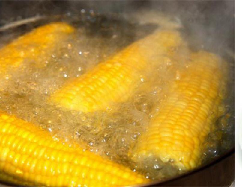 Как сварить кукурузу мягкой и сочной. Особенности и секреты варки старой кукурузы