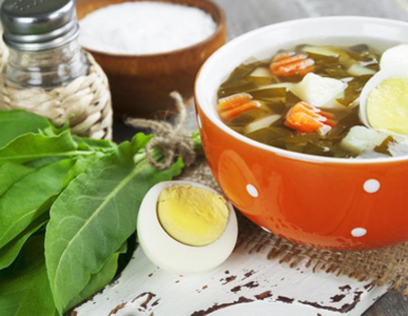 Суп с щавелем и вареным яйцом. Зеленый суп с щавелем и яйцом: рецепты и методики приготовления