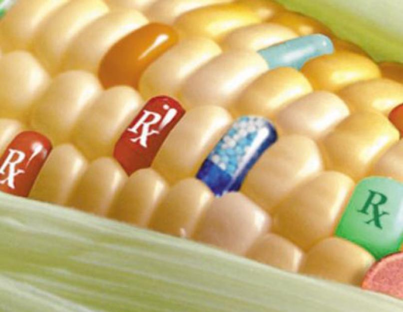 Гмо расшифровка продукты. Генетически модифицированные организмы и продукты (ГМО). Изначальная цель выведения ГМО