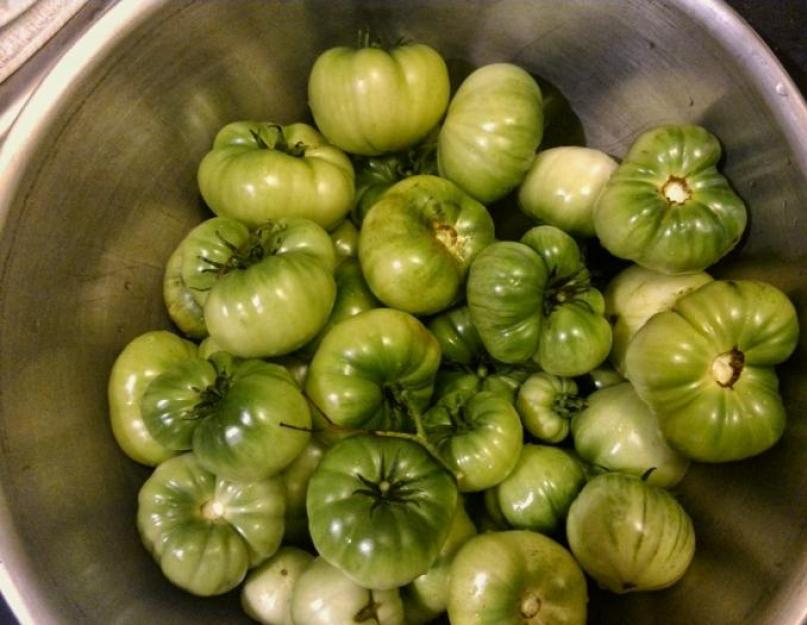 Зеленые помидоры с чесноком и горчицей. Как заквасить зеленые помидоры на зиму в банках, ведре и кастрюле