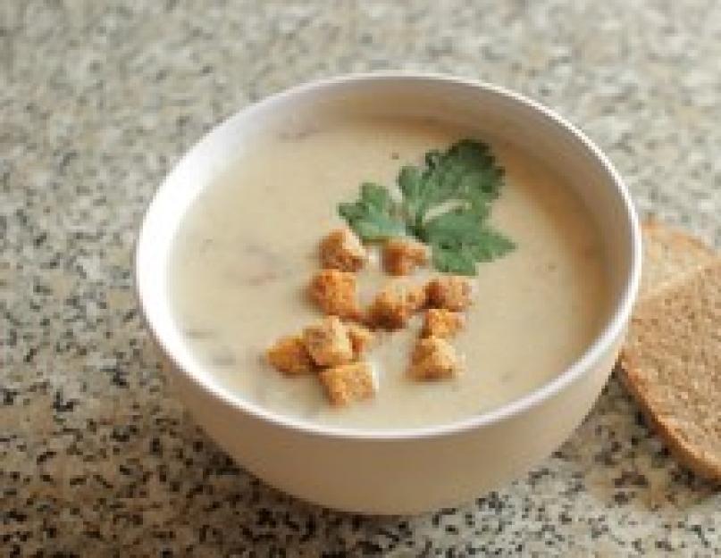Суп пюре из сушеных белых грибов рецепт. Суп – пюре из сушеных грибов. Как правильно варить суп из сушеных грибов