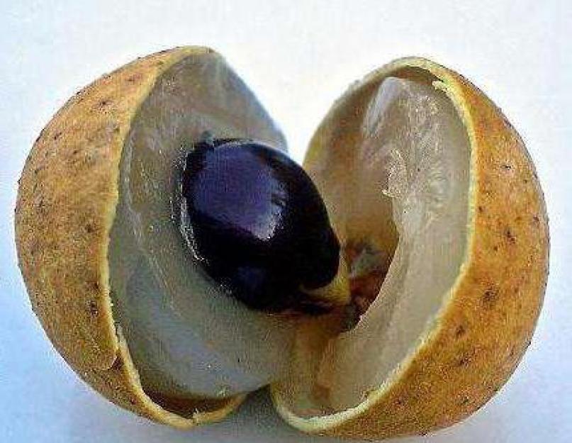 Большой колючий фрукт. Фрукты Тайланда: фото, описание и цены