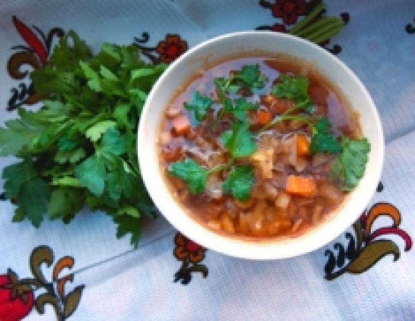 Боннский овощной суп. Правила выхода из диеты. Рецепт боннского супа и способ его приготовления