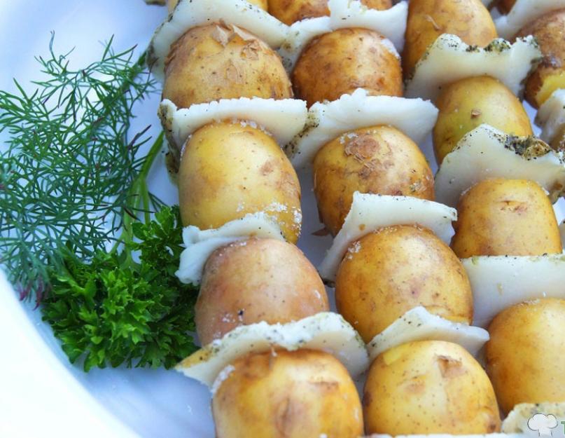 Молодой картофель с салом на шампурах. Шашлык из картофеля с салом на костре. Рецепт с пошаговыми фото