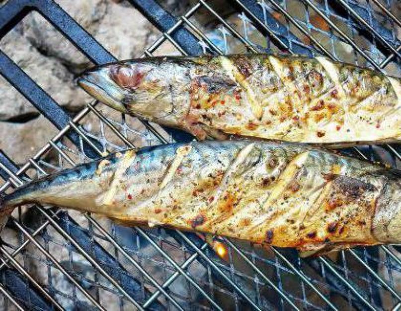 Речная рыба запеченная на углях. Рыба на решетке - самое вкусное и ароматное блюдо