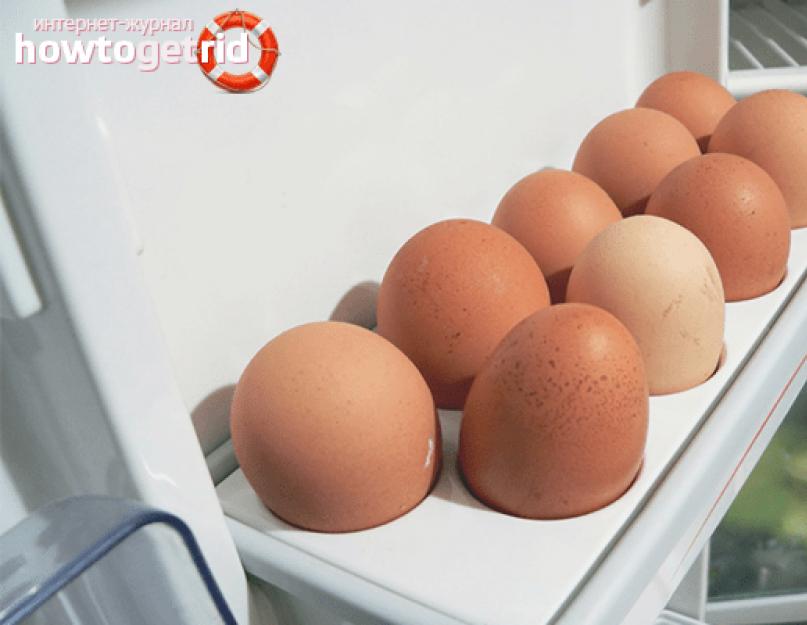 Сколько хранятся яйца в холодильнике свежие домашние. Какой срок хранения яиц? Срок хранения сырых и вареных яиц в холодильнике и без него. Видео, как правильно хранить яйца