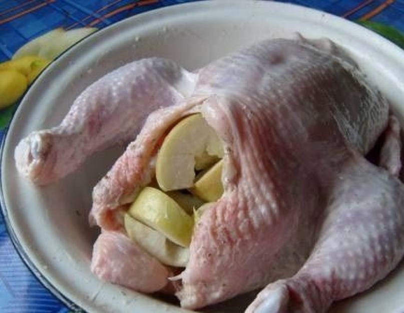 Запеченная целиком курица с яблоками. Продукты для приготовления курицы с яблоками в духовке. Курица запеченная с яблоками в духовке, процесс приготовления