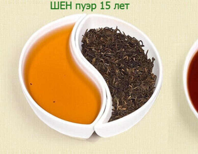 Shen et shu puer : lequel est le plus sain ?  Quel Puer choisir - Shu ou Shen ?  Quel Puer est le meilleur