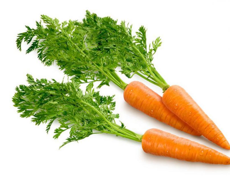Детские загадки про морковь короткие. Несколько интересных детских загадок. Интересная про морковь загадка прозвучит для крохи сладко