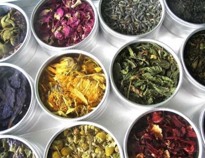 Как самому сделать чай из трав. Травяной чай: конструктор здоровья и душевного состояния