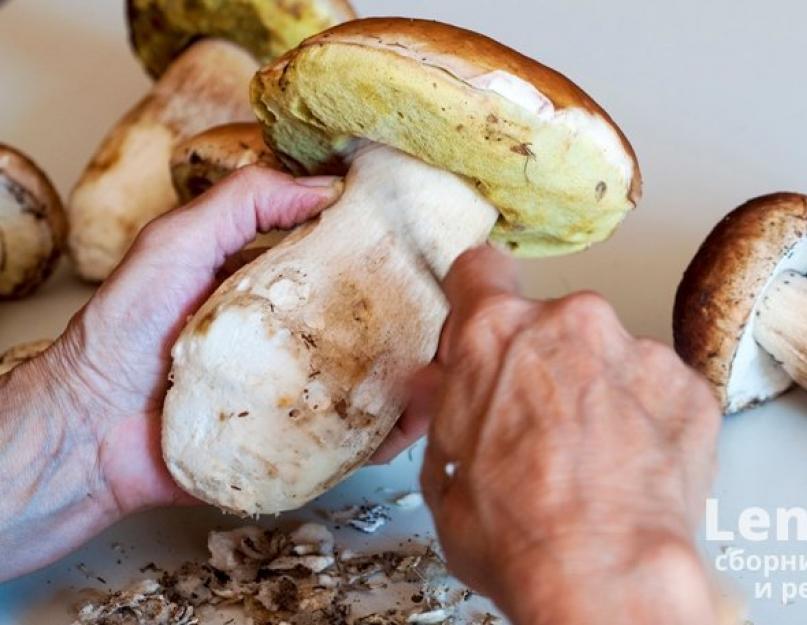 Comment sécher les champignons à la maison.  Sécher les champignons à la maison de différentes manières