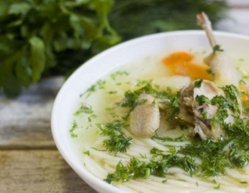 Суп из кролика. Суп из кролика - пошаговые рецепты приготовления с рисом, вермишелью и овощами с фото